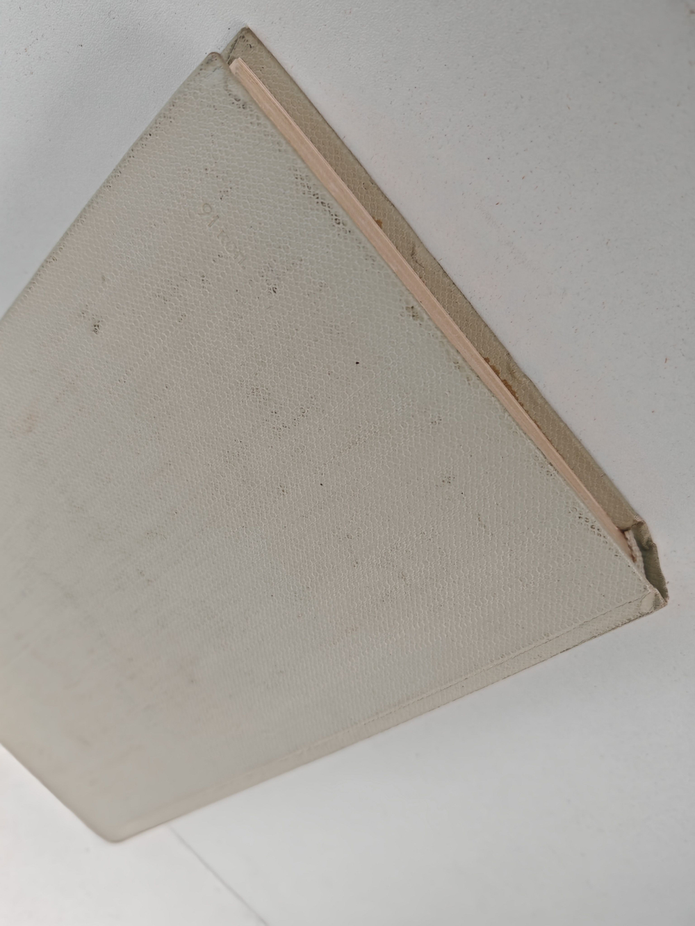 Молодые. Будь стойкой, Юта