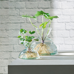 Ваза 9.5см LSA International Canopy