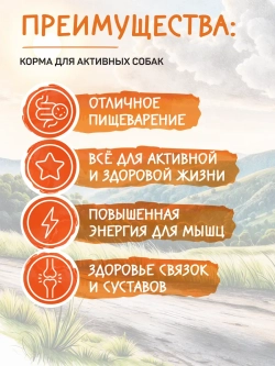 Fun корм для активных собак, говядина 2,5 кг
