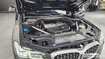 BMW X4 (G02) xDrive20i xLine (01.2023)