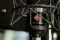 Neumann TLM 102 BK StudioSet