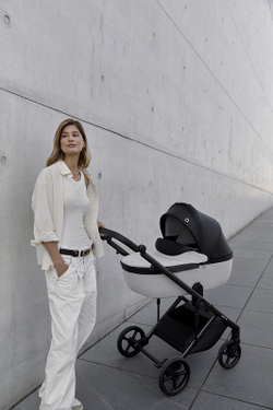 Детская коляска Anex Eli 2 в 1 New с рюкзаком No.5