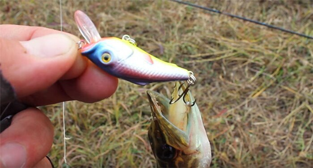 Воблер Минноу BIT 40mm,