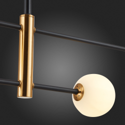 Светильник потолочный Evoluce Arcola SLE220103-04