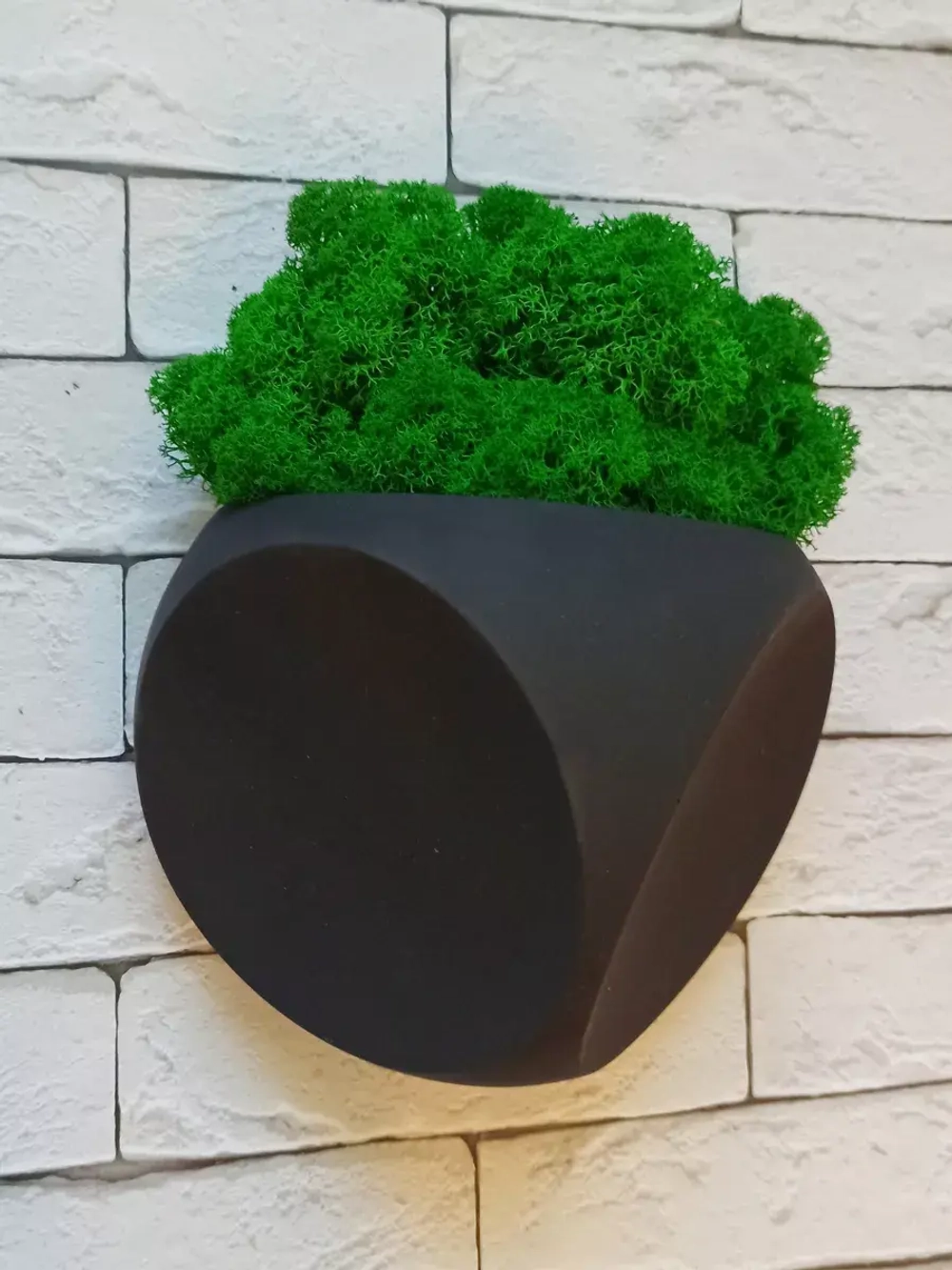 Настенное кашпо со мхом черное