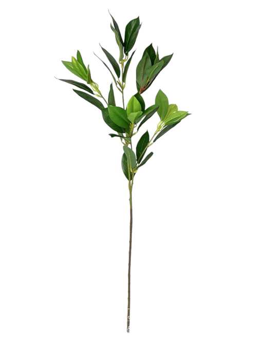 Фикус ветка 80 см