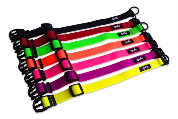 Ошейник из биотана LionPets с пластиковой пряжкой, оранжевый, размер L обхват шеи 33-55 см, ширина 2,0 см