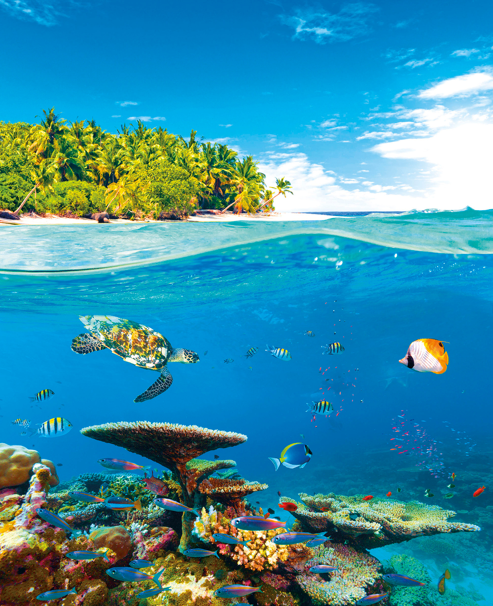 Коллекция Подводный мир