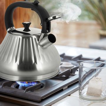 Чайник 3 л. из нержавеющей стали со свистком Kamille KM 0859