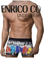Мужские трусы боксеры L/50, хлопок, Enrico Coveri Италия