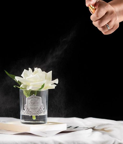 Роза ароматизированная цвета слоновая кость в прозрачной вазе, Cote Noire