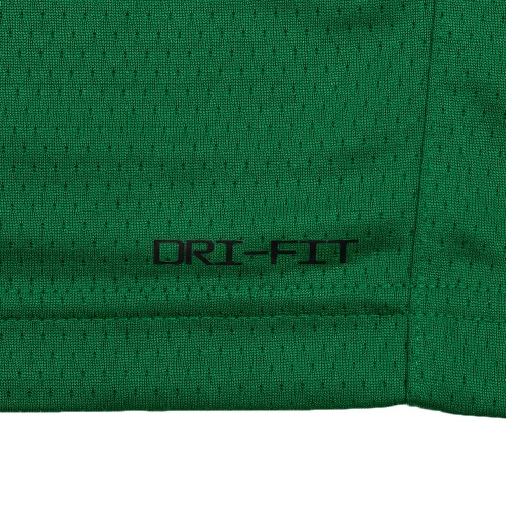 Баскетбольная мужская джерси Nike Dri-FIT NBA Swingman Boston Celtics Icon Edition 2022/23 Jaylen Brown