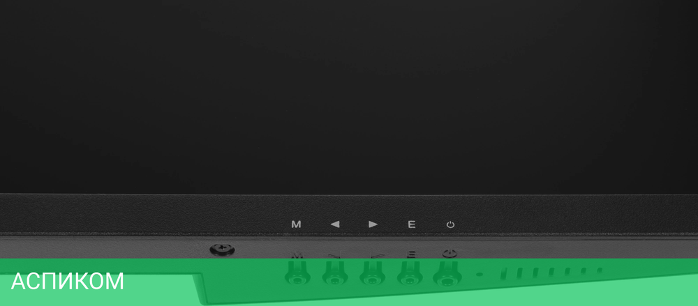 Монитор NPC 29" MZ300L