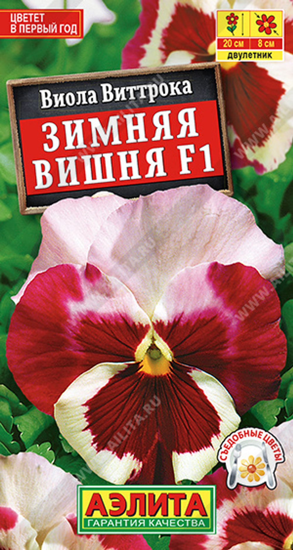 Виола Зимняя вишня F1 7шт Аэлита