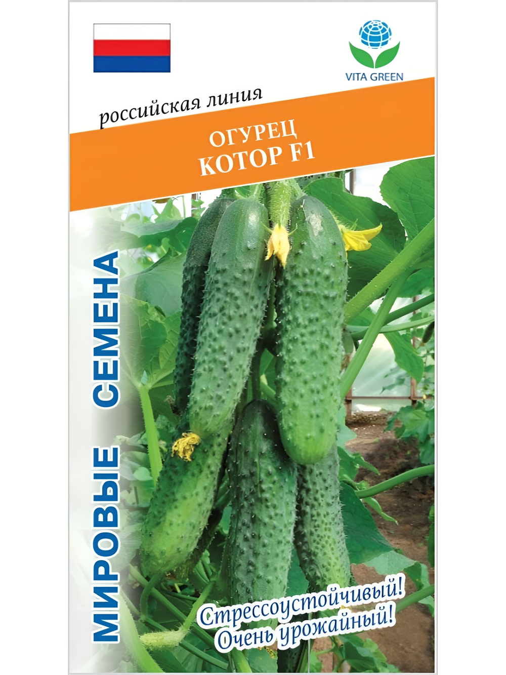 Семена огурцов Котор F1, 7 семян (Vita Green / Вита Грин)
