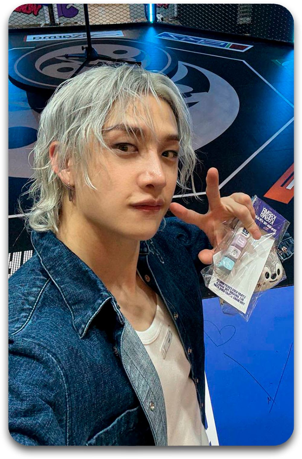 Карта / STRAY KIDS #4462
