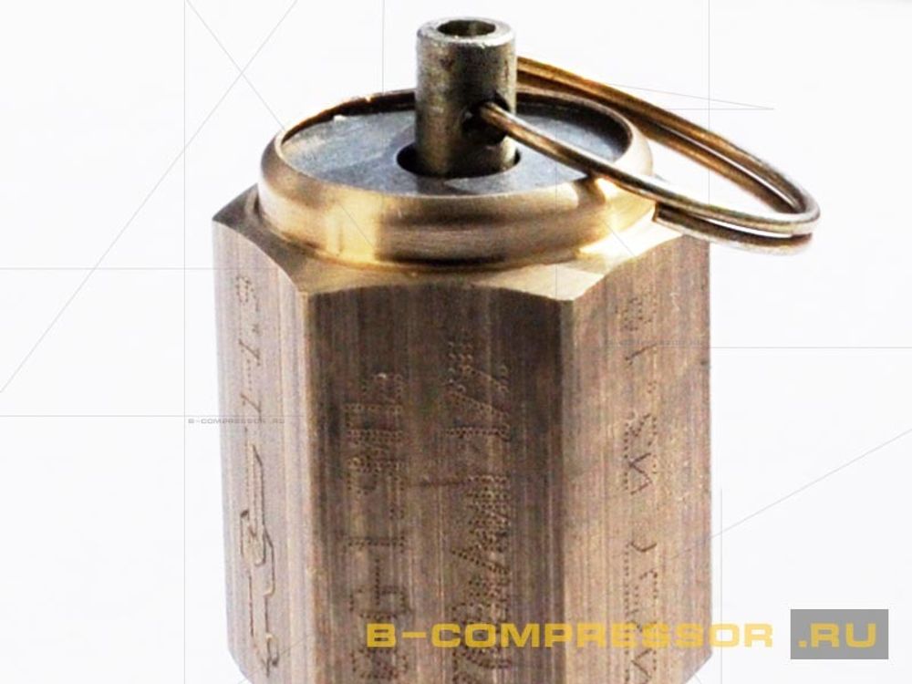 Клапан предохранительный 19 бар фото чеки