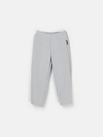 Джоггеры флисовые "Пепел"