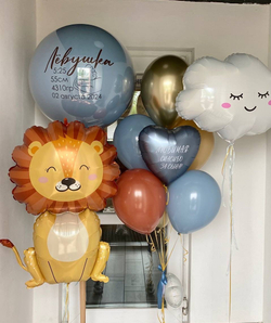 Воздушные шары на выписку из роддома №1107