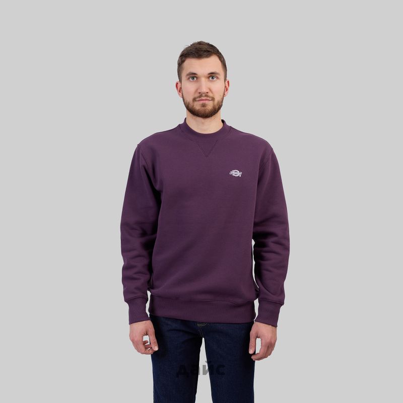 Толстовка мужская Dickies Summerdale Sweatshirt артикул:DK0A4Y6QJ561 - купить в магазине Дайс