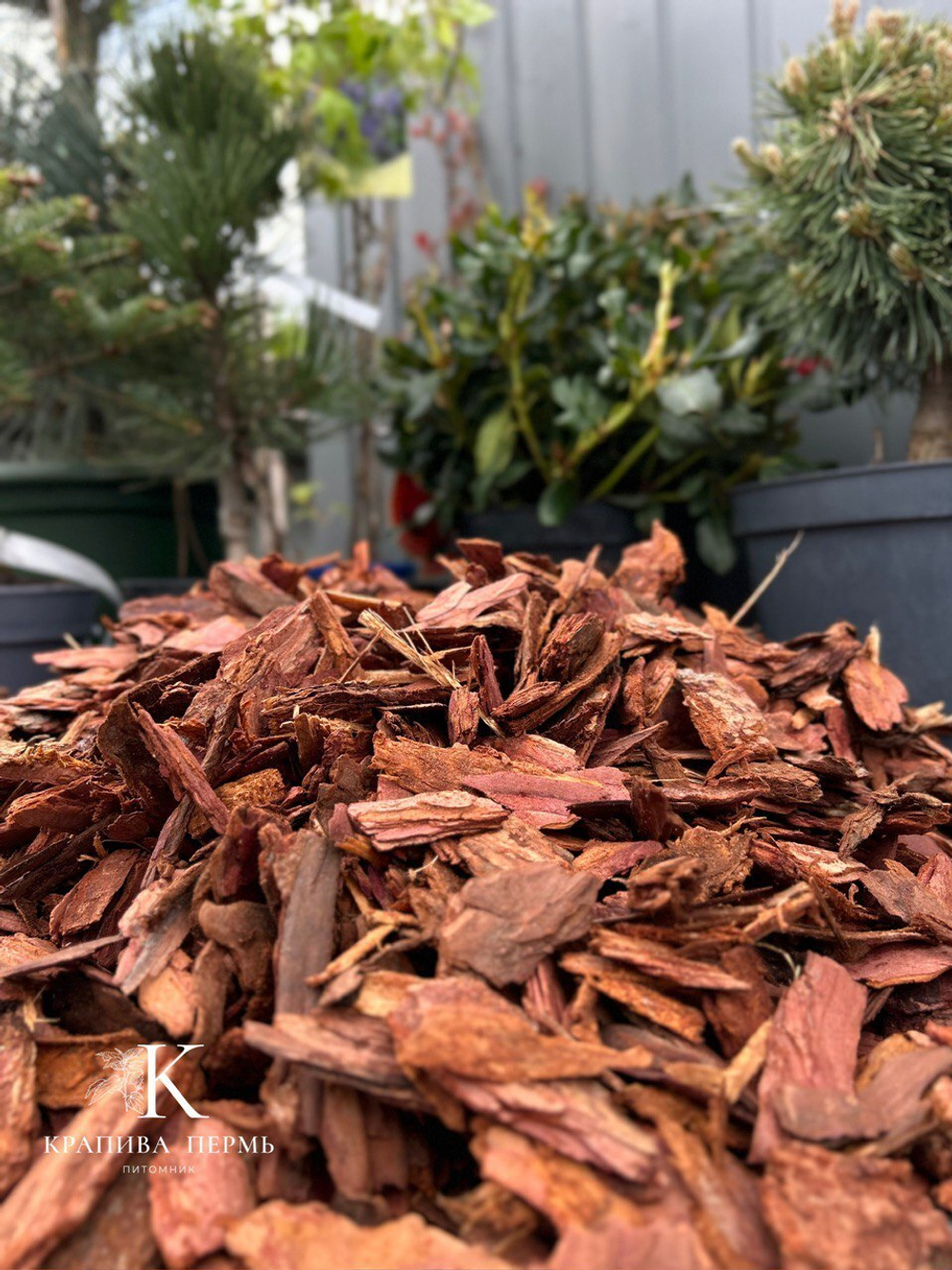 Кора сибирской лиственницы фракция 4-6 см Закупка М68 апрель 2026