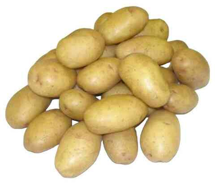 Картофель семенной 2кг сорт Самба