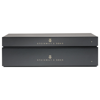 Усилитель мощности Steinway Lyngdorf A1