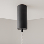 Подвесной светильник Maytoni MOD272PL-L12B3K