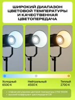 Осветитель светодиодный Raylab RL-300PRO 2700-6500K с пультом