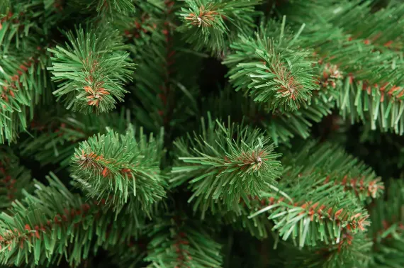 Искусственная елка Изящная 180 см., мягкая хвоя, ЕлкиТорг (121180)