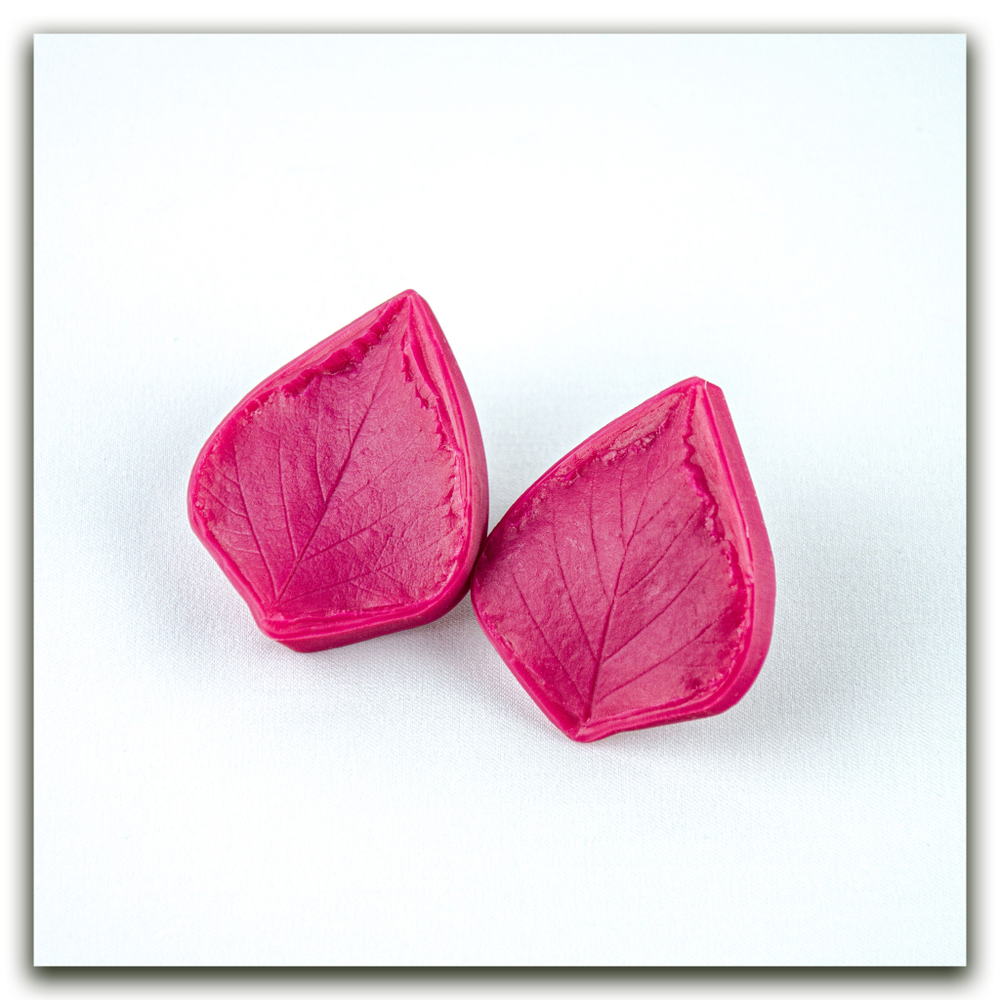 Листья берёзы