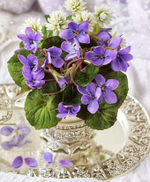 PARMANTHEME 184011 100%/ ПАРМАНТЕН 184011 CAS -