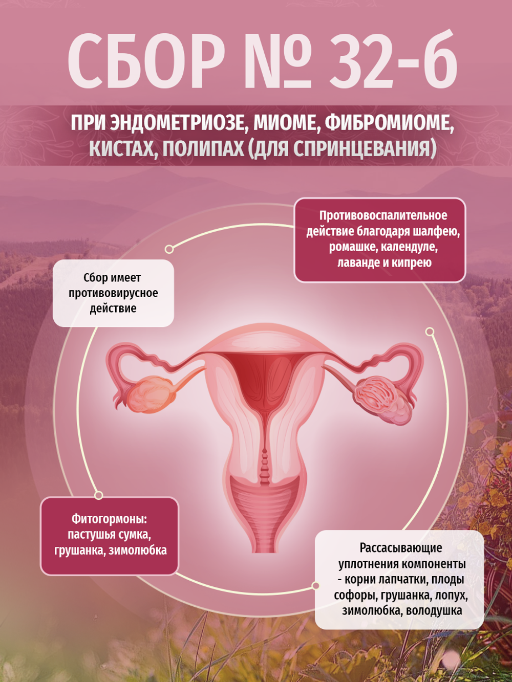 Сбор № 32-б при эндометриозе, миоме, фибромиоме, кистах, полипах (для спринцевания)