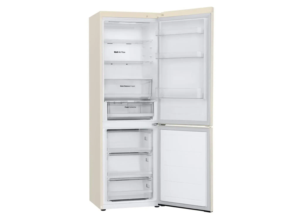 Սառնարան LG GR-B509FVFW