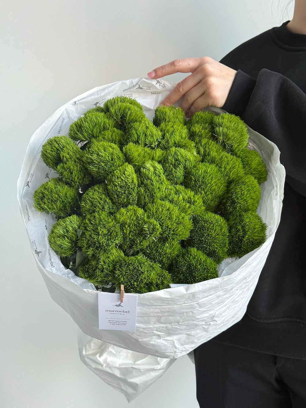 Моно букет из диантусов сорта Грин трик 35 шт