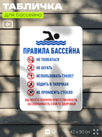 Табличка для бассейна "Правила бассейна", на пляж, для общественной и частной зоны отдыха, информационная, 40х30 см, Silver Plane x Айдентика Технолоджи