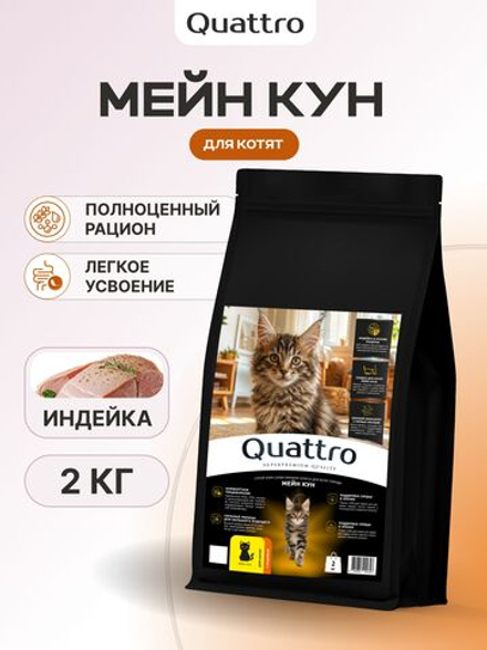 Корм сухой для котят породы Мейн-кун, с индейкой, 2 кг, QUATTRO