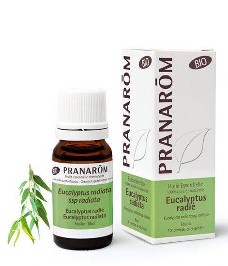 Натуральное эфирное масло Эвкалипт лучистый БИО, Pranarom