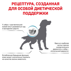 Royal Canin VET Skin Support - диета для собак, старадающих дерматозом и выпадением шерсти