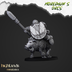 Mounted Orcs with spears