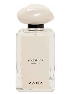 Zara Accord No 3 Woody