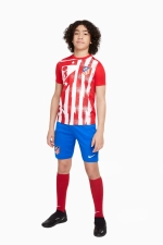 Футболка Nike Atlético Madrid 25/26 Academy Pro Junior - красный