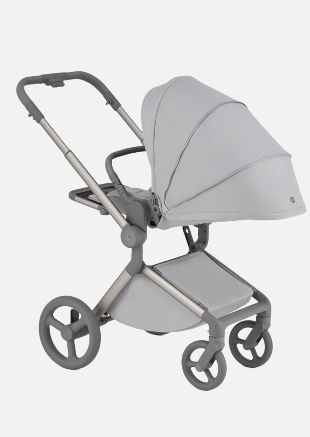 Anex Детская коляска Flo 2 в 1 Frossy