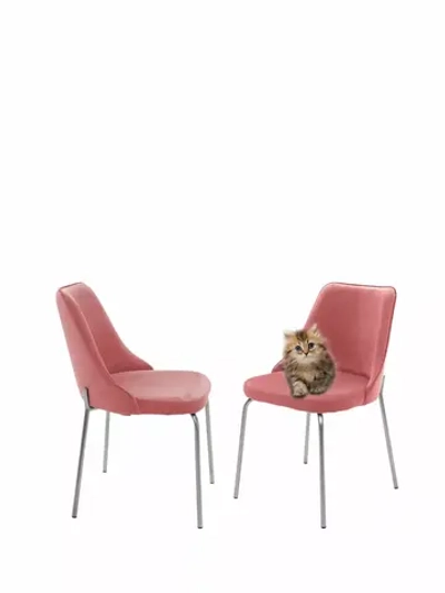 Стул "Флорес" 2 шт. Антивандальная ткань, Серебряные ножки