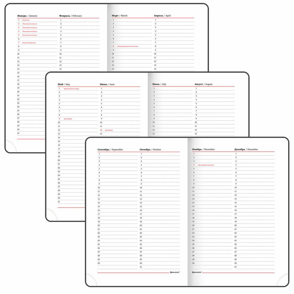 Ежедневник недатированный А5 BRAUBERG "Magnetic X" (113280) 7