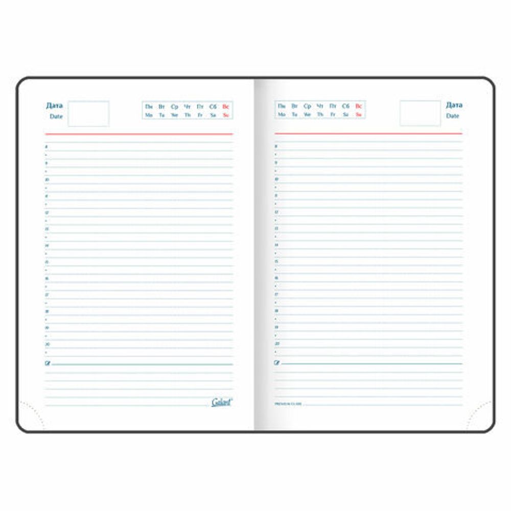 Ежедневник недатированный А5 148х218 мм GALANT "Ritter", под кожу, 160 л., черный, 114464