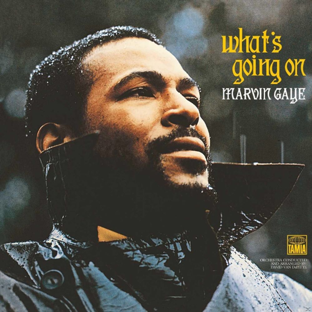 Marvin Gaye / What&#39;s Going On (LP)