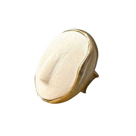 Кольцо лица