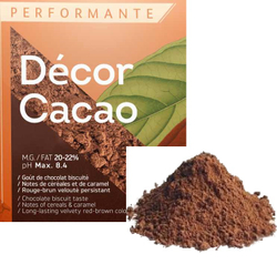 Какао-порошок алкализованный Decor Cacao, Cacao Barry, 50 гр