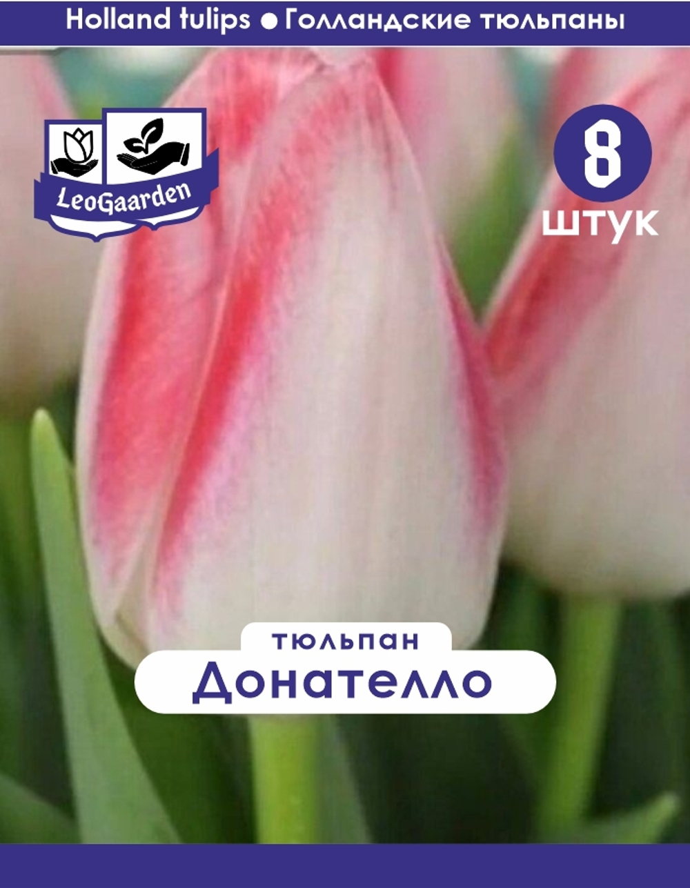 Тюльпан Луковица, Донателло, 8 шт